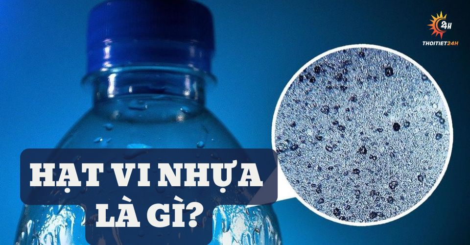 Hạt vi nhựa là gì? Những con số đáng báo động về ô nhiễm môi trường